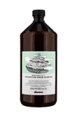 DAVİNES Detoxifying Scrub Arindirici Şampuan 1000 ml - 1