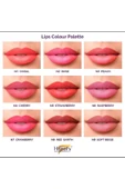 Kalıcı Makyaj Pigmentleri Amerikan Pigment Rus Menşeeli hanafypigment 3ML - 3