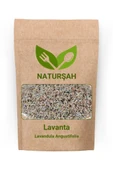 Naturşah Lavanta (Lavandula Angustifolia) 500 Gr - 1