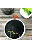 Yavuzer Tarım   Hobi Bahçe Potasyum Humate Humic Fulvic Asit - Bitki Köklenme - Tohum Çimlenme Teşvik Edici 500Gr - 1