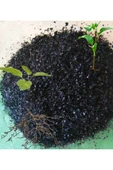 Yavuzer Tarım   Hobi Bahçe Potasyum Humate Humic Fulvic Asit - Bitki Köklenme - Tohum Çimlenme Teşvik Edici 500Gr - 2