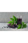 HARMONYPLUS Karadut Özü 700 gr (Soğuk Sıkım) - 3