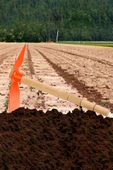 Saplı Sivri Çapa Bahçe El Çapası 40 Cm Ec006 - 4