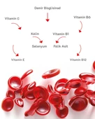 Hasz Labs Iron Bisglicinate & Vitamin B Kompleks 30 Kapsül - 3
