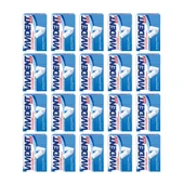 Vivident XYLIT Plak Asitlerinin Nötrleşmesine Yardımcı Yeşil Nane Aromalı Şekersiz Draje Sakız 22 g x 20 Adet - 1