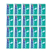 Vivident XYLIT Extra Nane Aromalı Şekersiz Draje Sakız 21 g x 20 Adet - 1