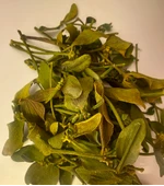 Ökse Otu 1 kg ( Doğal Kurutulmuş, Elenmiş, Katkısız ) - 1