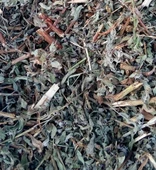 Yakı Otu 300 gr ( Doğal Kurutulmuş, Katkısız ) - 1