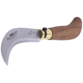 Antonini Old Bear Pruning 17cm (S) Bağ Çakısı - 2