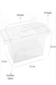 Atlantik Ikili Kristal Balık Yavruluk 14,5 cm x 10 cm - 1