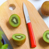 Opinel Essentiels Tırtıklı Soyma Bıçağı - 3