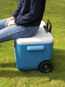 Coleman Poly-Lite Wheeled Mesh 50 QT Tekerlekli Soğutucu Buzluk 47.3 Lt - 11