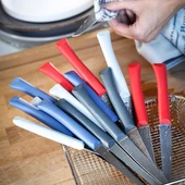 Opinel Bon Appetit 4 Parça Paslanmaz Sofra Bıçağı - 8