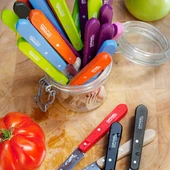 Opinel Essential No:113 Paslanmaz Çelik Tırtıklı Soyma Bıçağı - 1