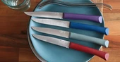 Opinel Bon Appetit 4 Parça Paslanmaz Sofra Bıçağı - 7