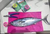Anchor Melek Gözü [ Glowlu ]  PEMBE 150 Gr - 4
