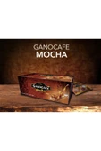 GanoCafe Mocha Bitkisel Krema, Kakao ve Ganoderma Mantarlı Çözünebilir Kahve - 1