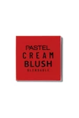 PASTEL Profashıon Cream Blush 43 - 1
