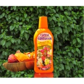 Çiçek Coşturan Mevsimlik Fide Gül Bahçe Bitkileri İçin thumbnail 4