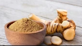 Havlıcan Toz 1 kg ( Öğütülmüş, Katkısız ) - 1