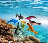 6 Parça Okyanus Hayvan Seti Büyük Boy(8-10cm) - 1