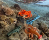 6 Parça Okyanus Hayvan Seti Büyük Boy (10-12cm) - 1