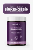 Nutriful Ibn-i Sina Sirkengebin Prebiyotik Form Macunu - 3