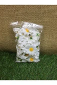 abcfloraconcept 25'li Mini Papatya Paketli - 1