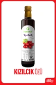 Kızılcık Özü 680 Gr - 3
