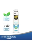 Raid Pure Böcek Dondurucu Sprey 350 ml - 1