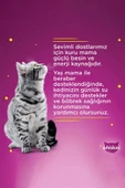 Whiskas Sos Içinde Tavuklu Yetişkin Kedi Konservesi 400 gr - 3