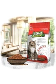 Jungle Kuzu Etli Yetişkin Kedi Maması 500 Gr. 2024 - 1