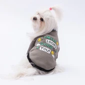 PawStar Füme Loviisa Sweat Küçük ve Orta Irk - 1