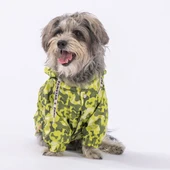 PawStar GreenOssa Yağmurluk Küçük ve Orta Irk - 2