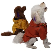 PawStar Turuncu Pluvia Küçük ve Orta Irk Yağmurluk - 2