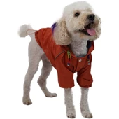 PawStar Turuncu Pluvia Küçük ve Orta Irk Yağmurluk - 1