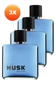 AVON Musk Marine Erkek Parfüm Edt 75 Ml. Üçlü Set thumbnail 1