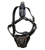 Gladyatör Deri Köpek Göğüs Tasması XL 60*80 cm thumbnail 1