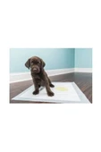 Köpek Tuvalet Çiş Eğitim Pedi 60x90 cm ( 10 Adet ) - 2