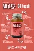 VİTALQR 60 KAPSÜL X 405 MG - 4