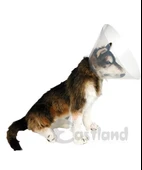 Eastland Yakalık (elizabet) 20 Cm - 1