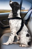Karlıe Köpek Araç İçi Göğüs Tasması Siyah (68-86) thumbnail 1