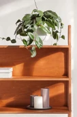 Woodesk  Cosmos Ahşap Çalışma Masası Ve Kitaplık, 190x100 - 4