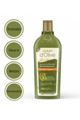 Dalan D'olive Doğal Zeytinyağlı Onarıcı & Besleyici Bakım Şampuanı 400 ml - 2