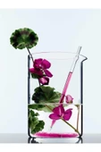 L'Oreal Paris Botanicals Fresh Care Sardunya Parlaklık Iksirı Maske 200 ml - 4