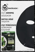 Garnier Skin Naturals Kömürlü Kağıt Yüz Maskesi Siyah Yosun - 2