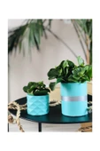 Orvila Orvila Mint Yeşili Silindir Ve Geometrik Beton Skulent Saksılık Kaktüs - 1