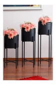 Orvila Orvila 3 Boy Siyah Saksılık Dekoratif Ayaklı Metal Çiçeklik | 83cm-72cm-64cm Saksı - 1