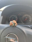 Sevimli Kaplumbağa Torpido Süsü Dikiz Ayna Süsü thumbnail 5