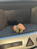 Sevimli Kaplumbağa Torpido Süsü Dikiz Ayna Süsü thumbnail 6